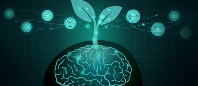 Executive Coaching – staying in the strategic space