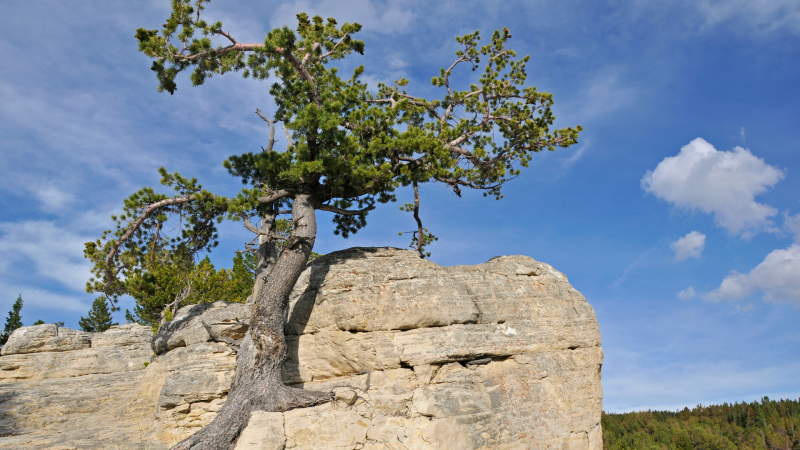 Bilanțul unui an greu - 2024 și nevoia de reziliență